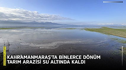 Kahramanmaraş'ta binlerce dönüm tarım arazisi su altında kaldı