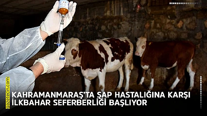Kahramanmaraş'ta şap hastalığına karşı ilkbahar seferberliği başlıyor
