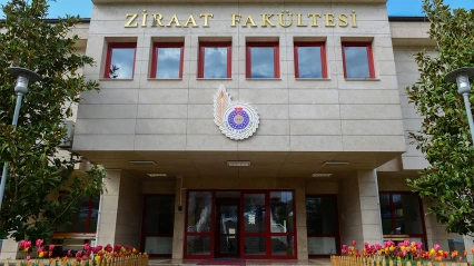 Kahramanmaraşlı öğrenciler, TÜBİTAK 2209-A Programından destek aldı