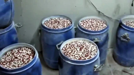 Milyonlarca uyuşturucu hap ele geçirildi