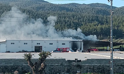 Biber fabrikasında yangın! Soğutma çalışmaları sürüyor