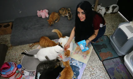 Evinin damını sahipsiz kediler için yuvaya dönüştürdü