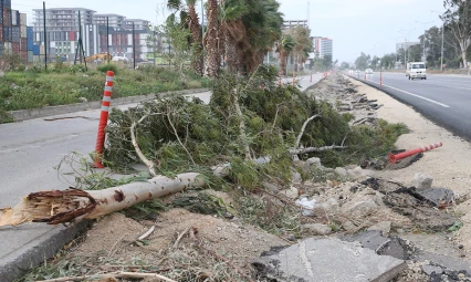 Fırtına ağaçları yerinden söktü, 6 tekne 1 bot alabora oldu