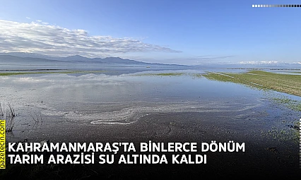 Kahramanmaraş'ta binlerce dönüm tarım arazisi su altında kaldı