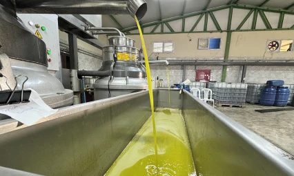 Zeytinyağı üretim tesisi mahallelinin geçim kaynağı oldu