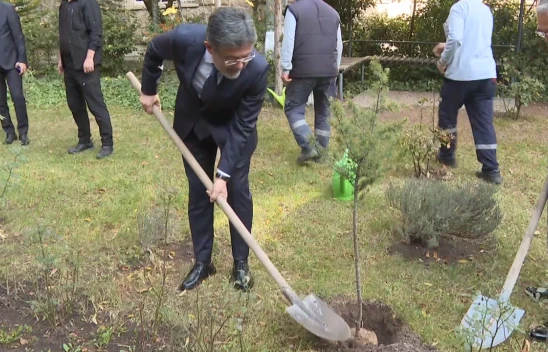 11 Kasım'da 81 ilde tohumlar toprakla buluşacak