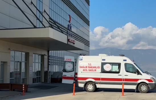 13 yaşındaki çocuk sahipsiz köpeklerin saldırısına uğradı