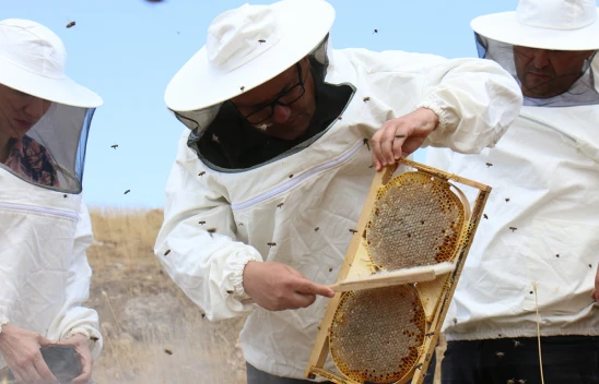 2 bin 400 rakımdaki yaylada bal hasadı yapıldı
