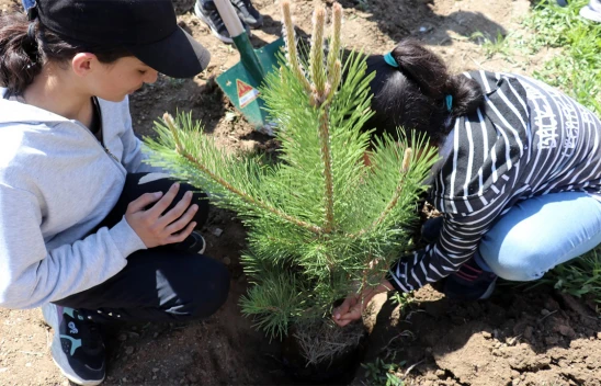 2025-2026 eğitim ve öğretim yılına ilişkin iş ve işlemler konulu genelge, yayımlandı