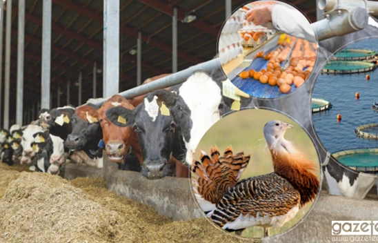 2025 yılında 188 milyon avro IPARD hibe desteği