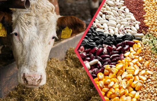 345 milyonluk tarımsal destek ödemesi çiftçilerin hesaplarına aktarılıyor