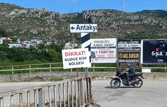 4 mahallede kuduz karantinası başladı