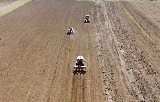 42 çiftçi arazilerini birleştirdi ortak tarım yapıyor
