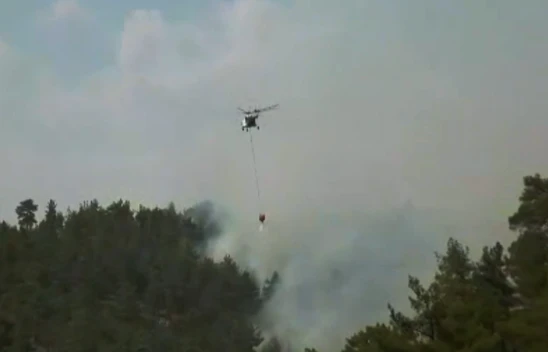 6 ilden Kahramanmaraş'a gelen ekipler orman yangınına müdahale ediyor