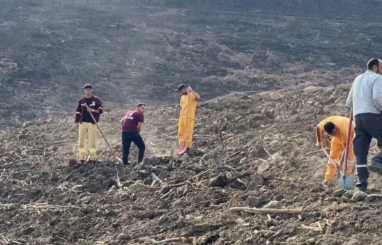 6 Şubat deprem şehitleri için 44 bin fidan dikilecek