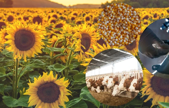 8.1 milyar liralık destekleme ödemesi hesaplara aktarıldı