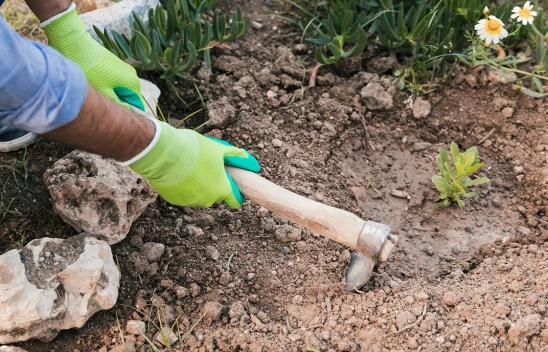 81 ilin gönüllü gençleri tarımda aktif rol üstlenecek