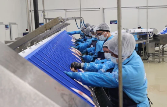 AB destekli su ürünleri işleme, şoklama ve depolama tesisi açıldı