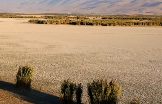 Aşırı hava olayları en fazla tahıl ürünlerini olumsuz etkiliyor