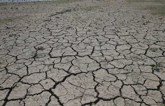 Aşırı hava olayları son 10 yılda 250 milyon kişiyi yerinden etti
