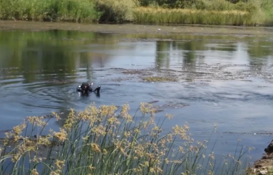 Ayrılmayan iki arkadaş ölüme de beraber gittiler