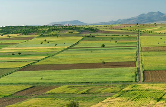 Bakan Yumaklı, müjdeyi verdi! Hesaplarınızı kontrol edin