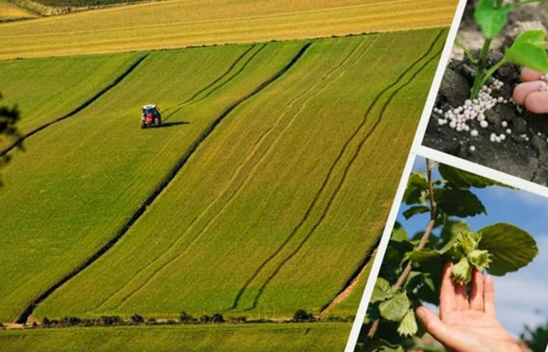 Bakanlık duyurdu! Tarımsal destekleme ödemeleri hesaplara aktarıldı
