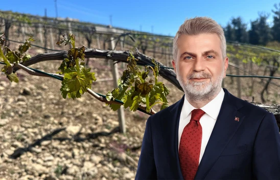 Başkan Görgel'den don felaketi sonrası açıklama, 'Boynumuzun borcu'