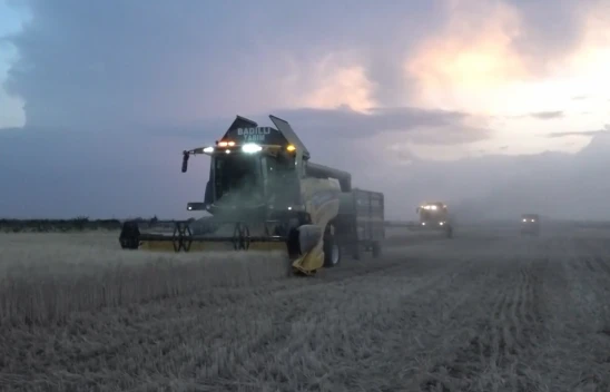 Bereketli topraklarda gece mesaisi