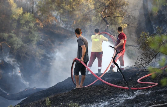 Bilim adamları, Türkiye ve Yunanistan'daki orman yangınlarının nedenini açıkladı
