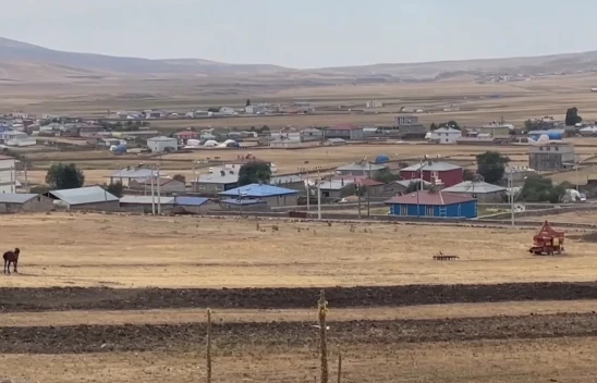 Bir belde kuduz karantinasına alındı