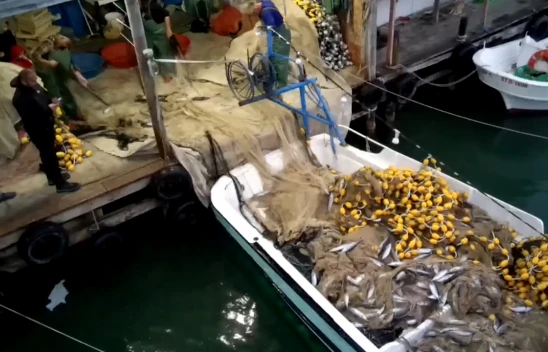 Bir gecede 3 bin 200 palamut avlandı