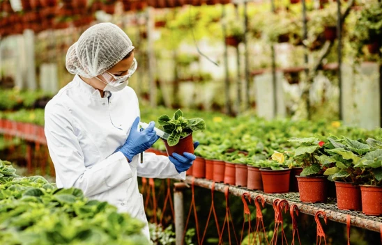 Bitkisel üretimde yeni desteklemelerin detayları belli oldu