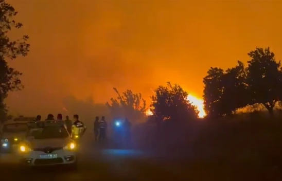 Çanakkale'de çıkan orman yangınına müdahale ediliyor