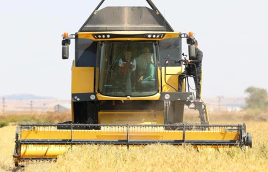 Çeltikte 2025 yılı için 988 bin tonluk bir rekolte bekleniyor