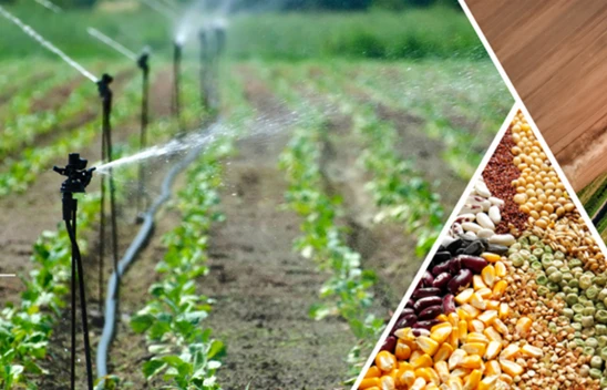 Çiftçilere 275 milyon liralık destekleme ödemesi hesaplara aktarılıyor