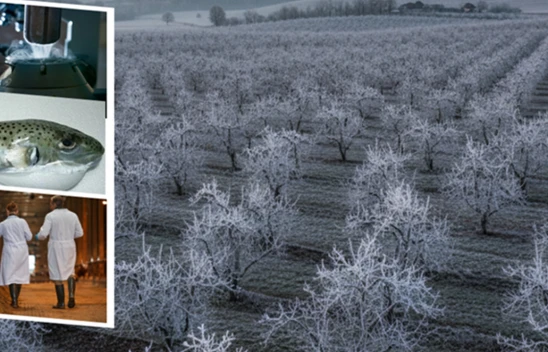 Çiftçilere müjde! Destek ödemeleri hesaplara aktarıldı