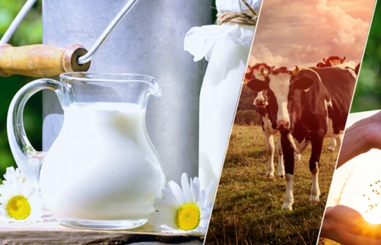 Çiftçilere müjde! Destekleme ödemesi hesaplara aktarıldı