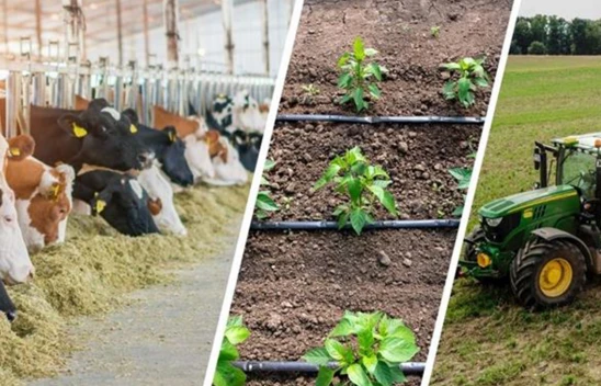 Çiftçilerin beklediği destek ödemeleri hesaplara yattı
