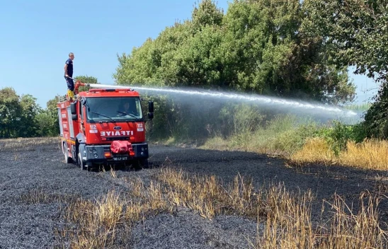 Çıkan yangında 20 dönümlük buğday tarlası zarar gördü