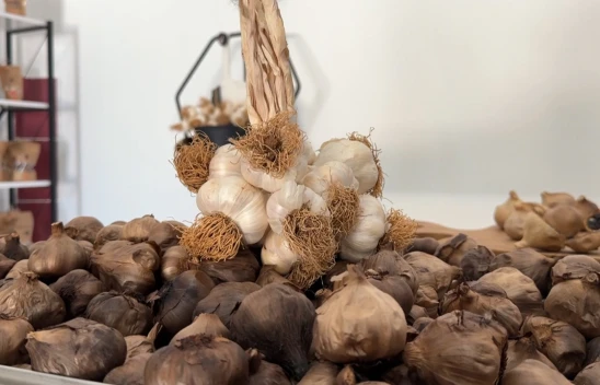 Coğrafi işaretli siyah sarımsak 6 ülkeye ihraç ediliyor