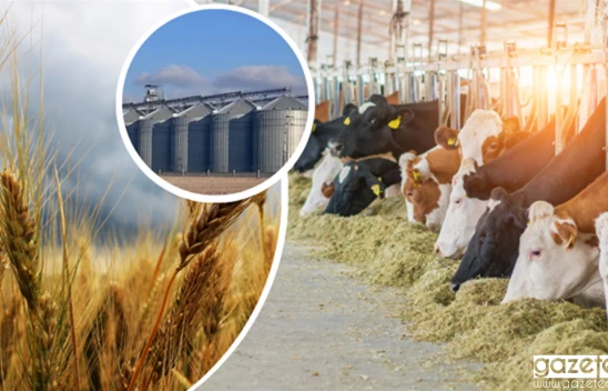 Destekleme ödemeleri başladı