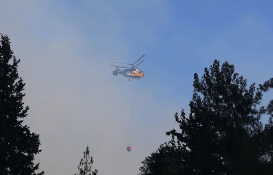 Dörtyol'da dün çıkan orman yangınına müdahale sürüyor