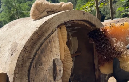 Dubai 'ye satılan bu balın kilosu 6 bin TL