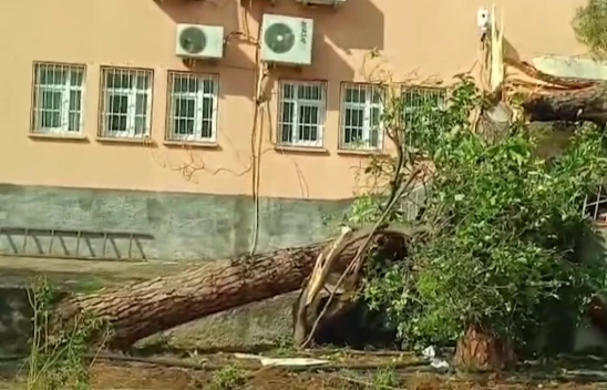 Fırtına ağaçları devirdi, çatıları uçurdu