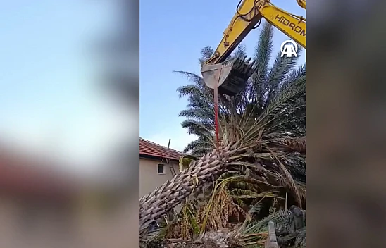 Fırtına ağaçları kökünden söktü, elektrik direklerini devirdi