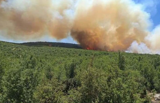 Gaziantep'te çıkan orman yangınına Kahramanmaraş'tan da ekipler sevk edildi