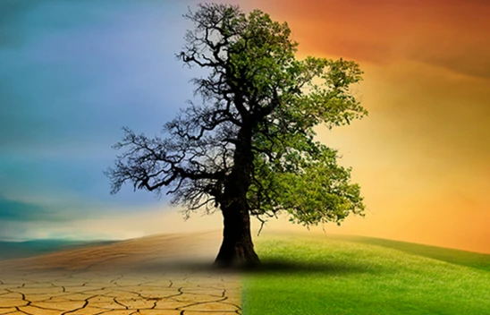 Gelecek yılın en büyük riski iklim değişikliği