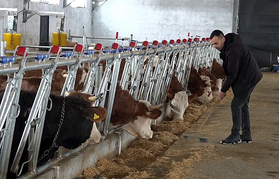 Genç girişimci devlet desteğiyle geleneksel hayvancılıktan modern üretime geçti