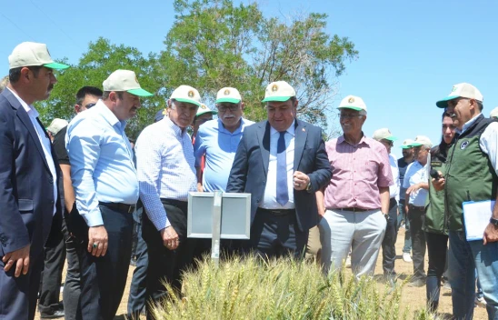 Gezginç, 'Hububat alanındaki her dört tohumdan bir tanesini TİGEM üretiyor'